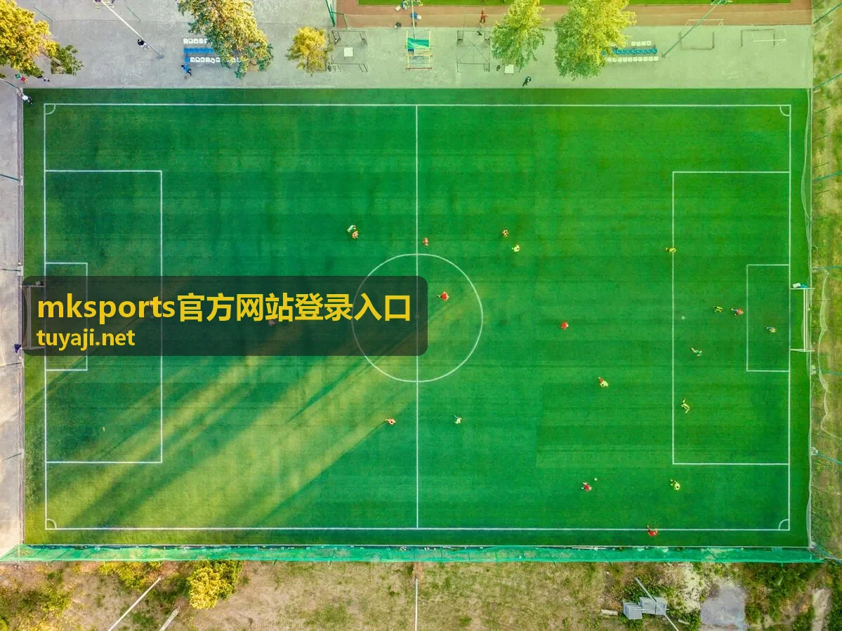 mksports官方网站登录入口 移动端访问配图