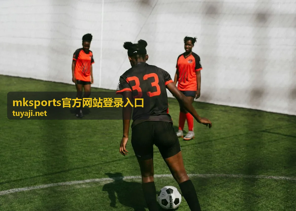 mksports官方网站登录入口移动网络环境示意