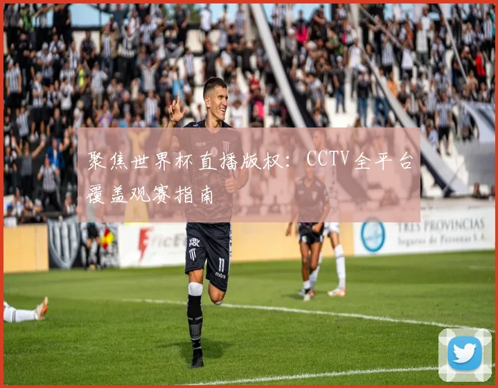 聚焦世界杯直播版权：CCTV全平台覆盖观赛指南