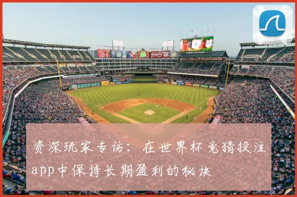 资深玩家专访：在世界杯竞猜投注app中保持长期盈利的秘诀