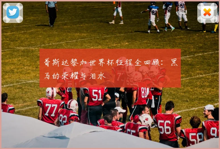 哥斯达黎加世界杯征程全回顾：黑马的荣耀与泪水