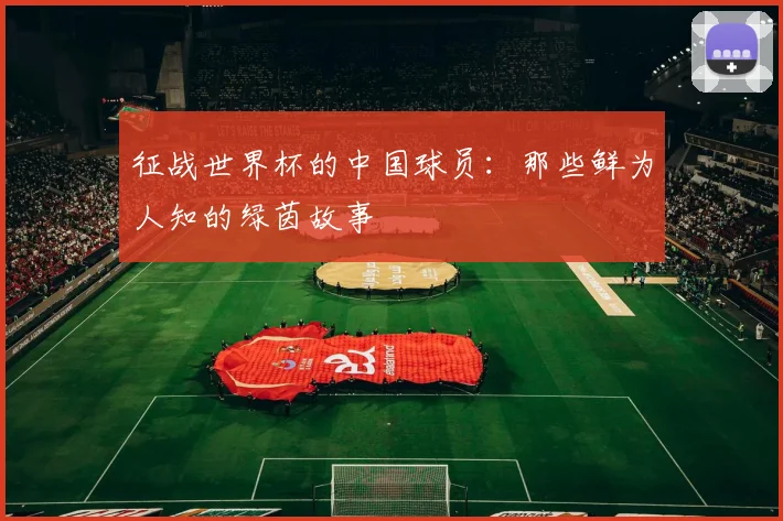 征战世界杯的中国球员：那些鲜为人知的绿茵故事