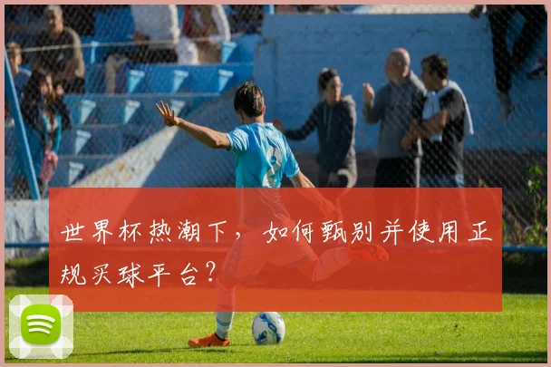 世界杯热潮下,如何甄别并使用正规买球平台?