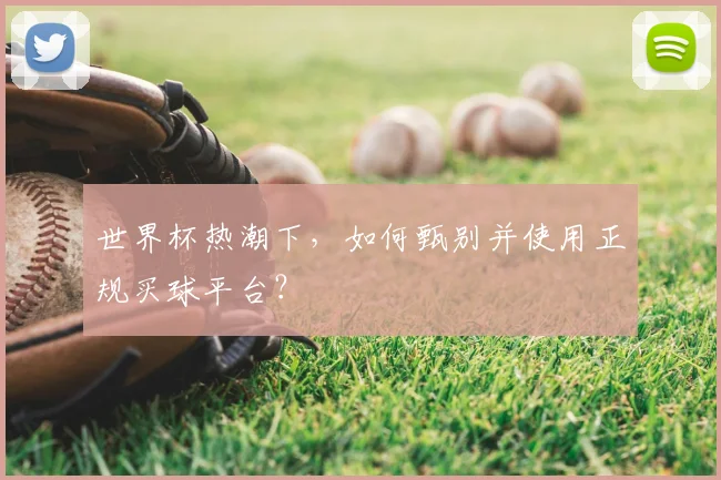 世界杯热潮下，如何甄别并使用正规买球平台？