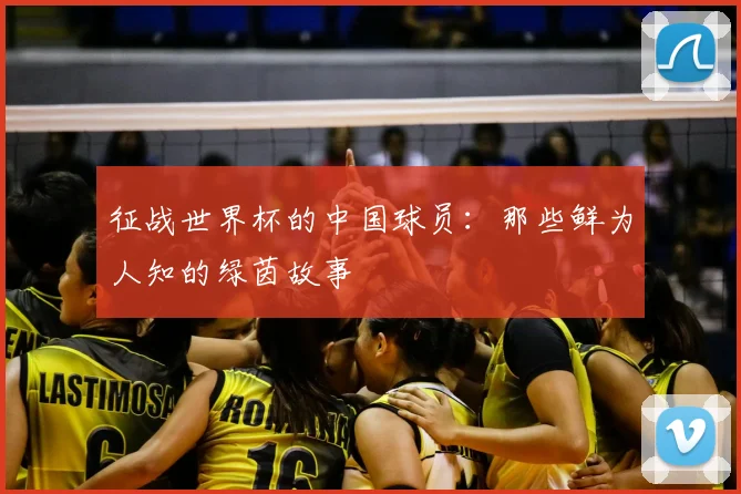 征战世界杯的中国球员：那些鲜为人知的绿茵故事